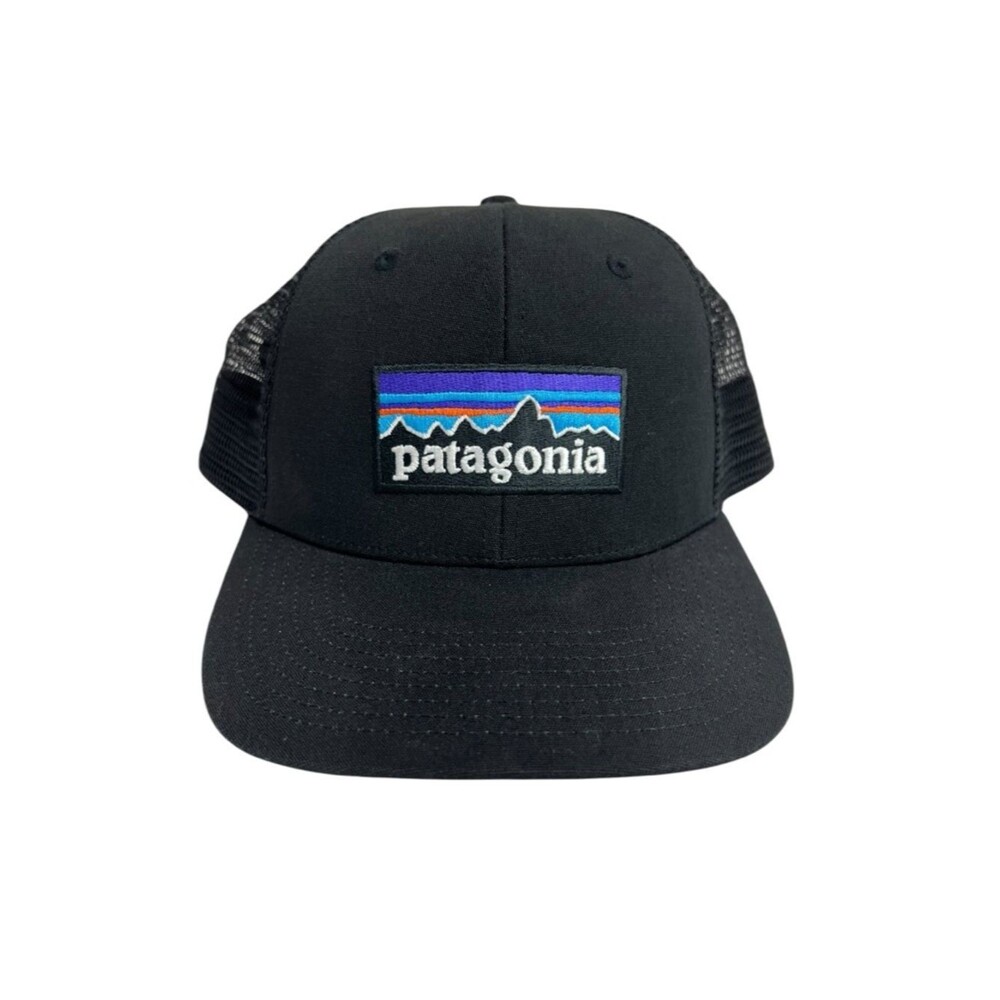 Patagonia P-6 Logo LoPro Trucker Hat